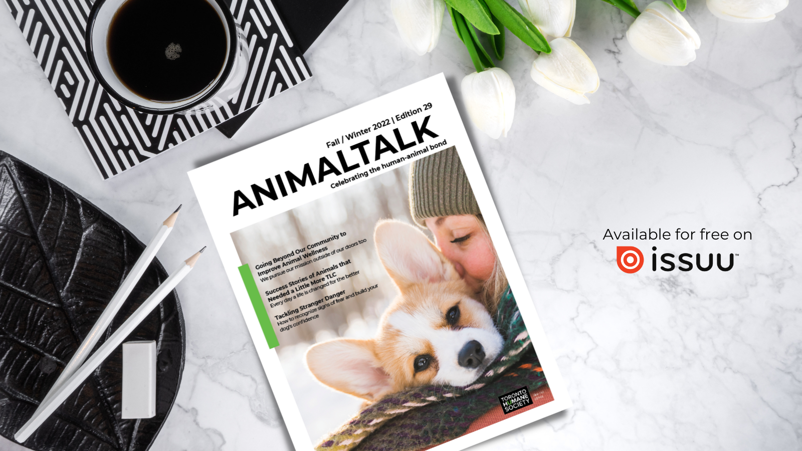 Talking about Wellness in the Latest Animal Talk - Toronto Humane Society Talking about Wellness in the Latest Animal Talk - Toronto Humane Society