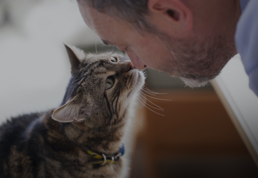 A person and a cat