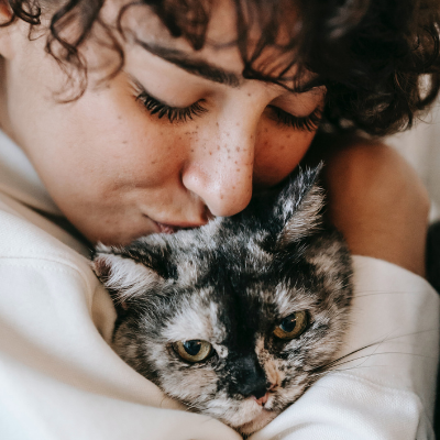 Keep your pet safe in hot weather