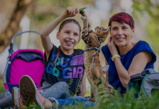 Two girl play with a cat
