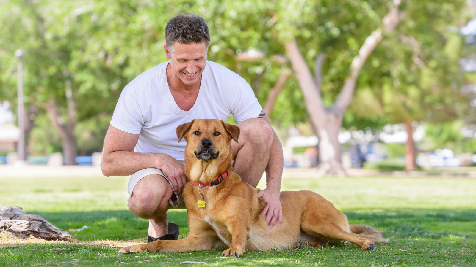 A man and his dog