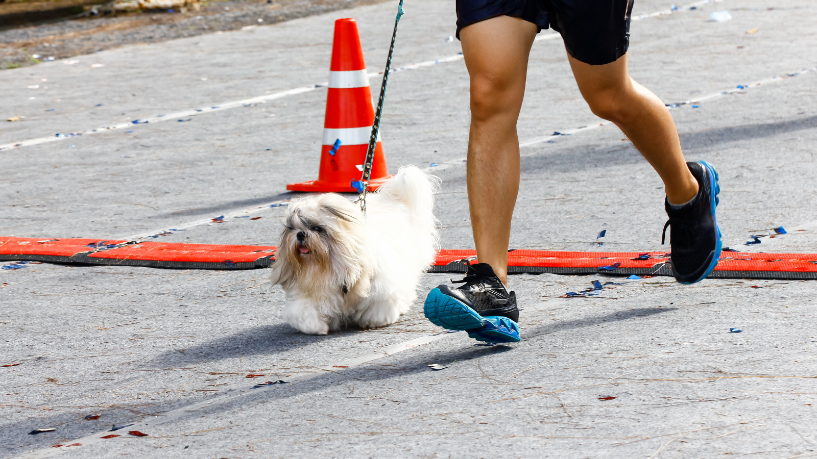 Scotiabank Marathon