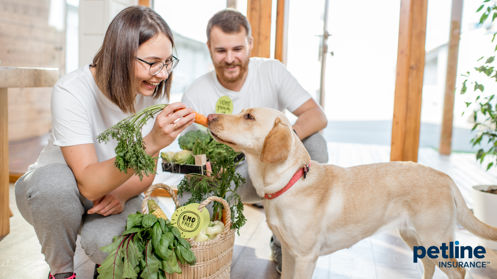 Fruits and vegetables your pet can eat