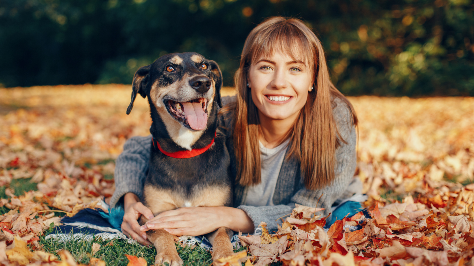 Fall Pet Safety Tips