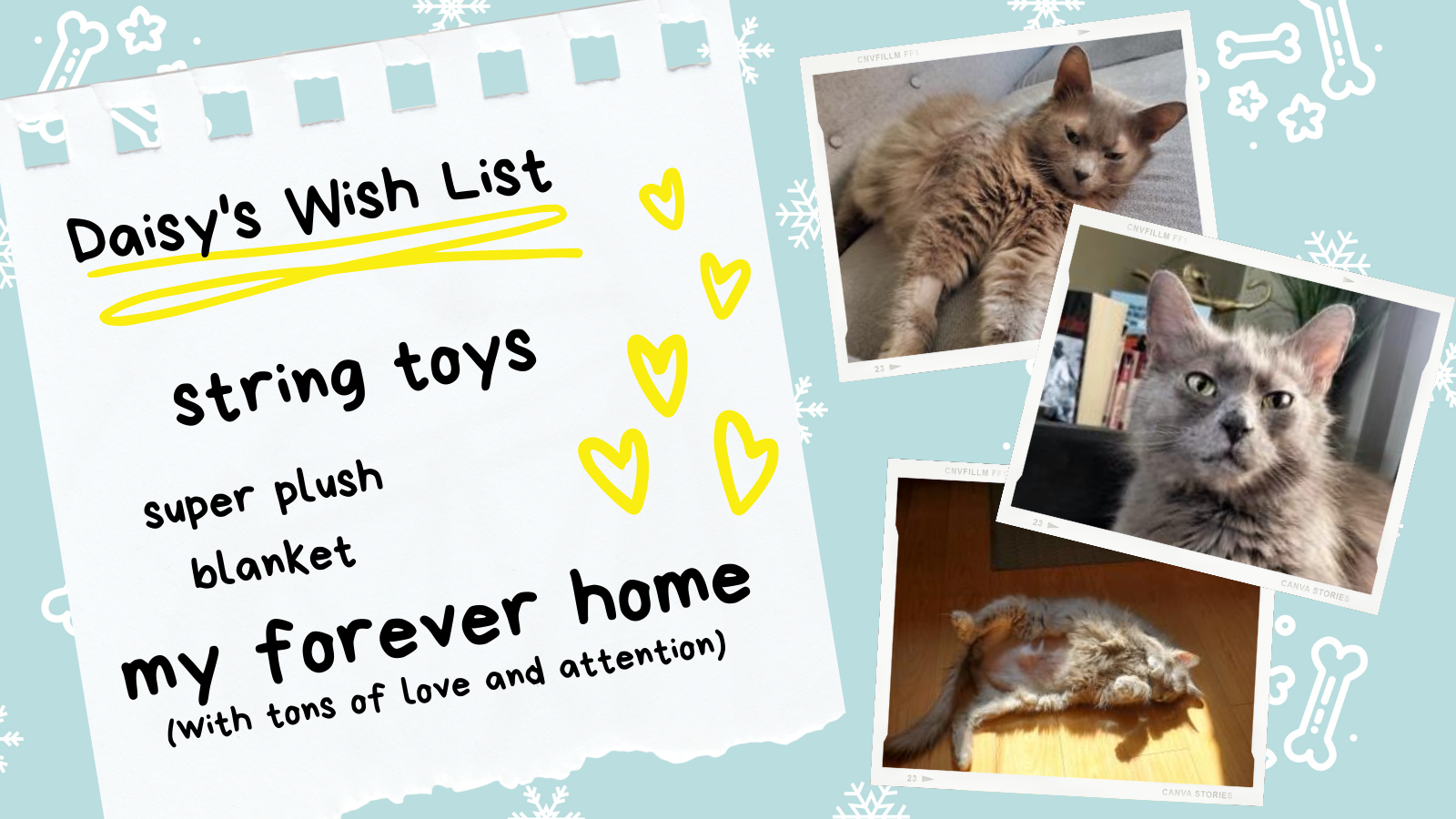 Holiday Wish List - Daisy