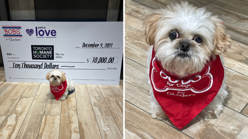 Bobs for dogs donation outlet