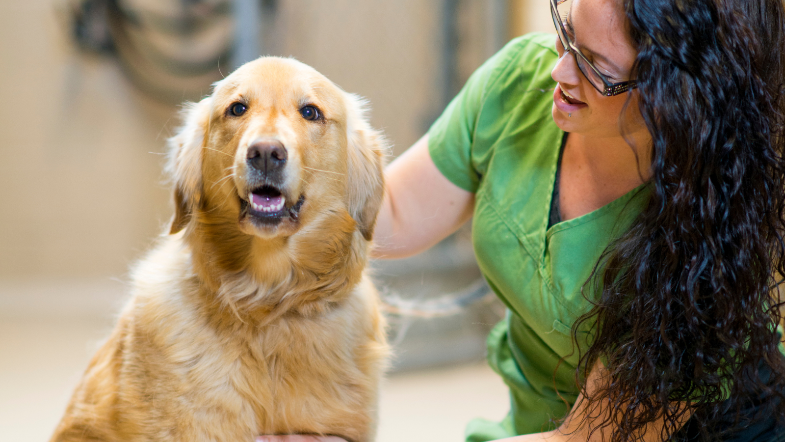Events for April 10, 2022 – Toronto Humane Society Events for April 10, 2022 – Toronto Humane Society