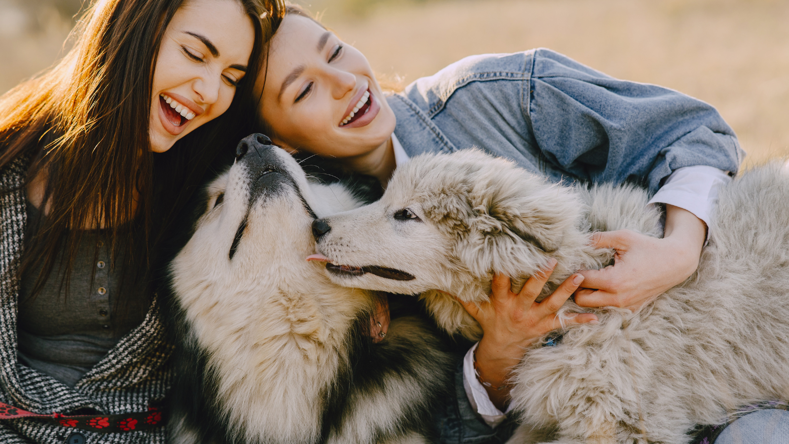 two girls and two huskies smiling