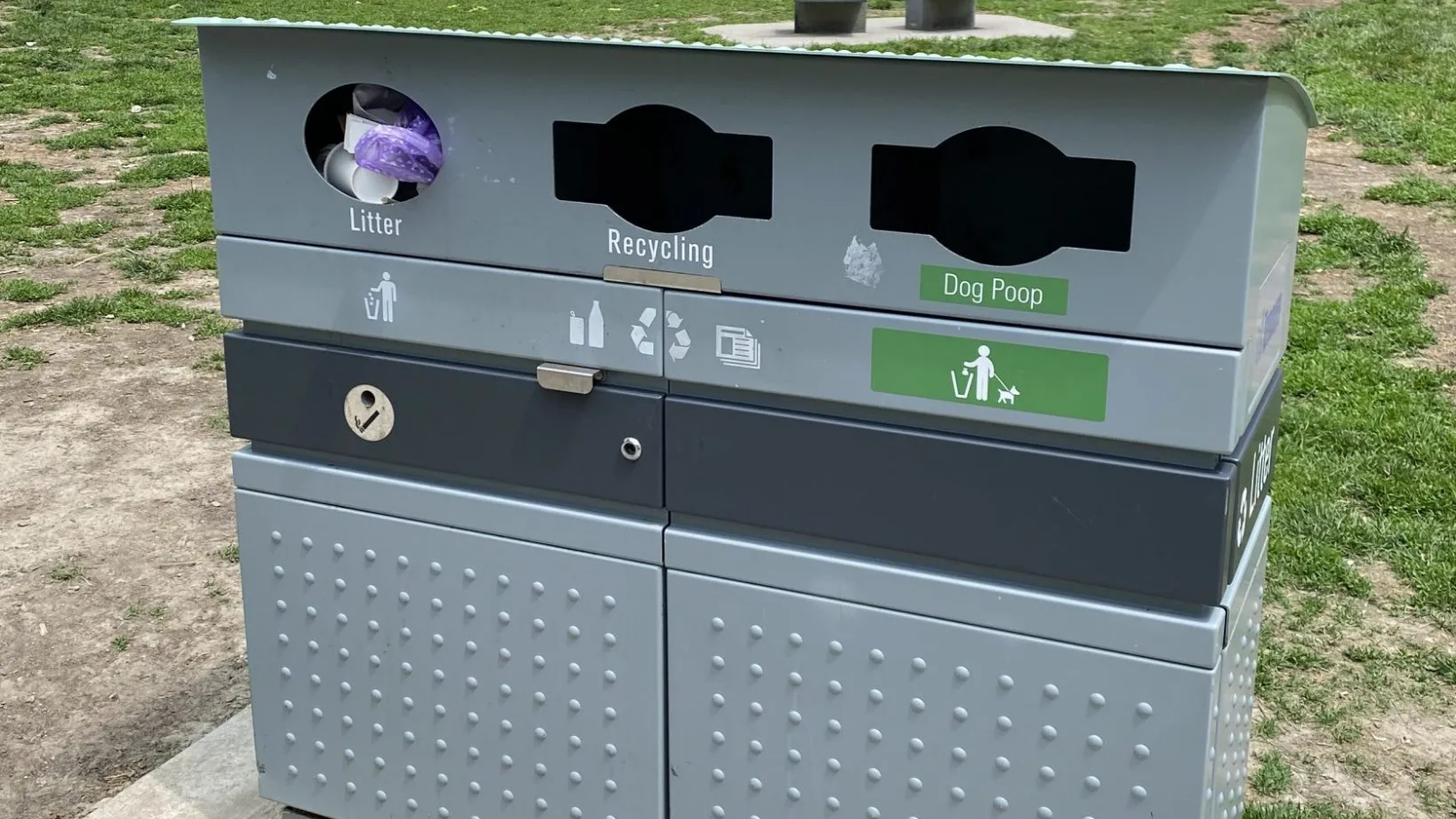 can i put dog poop in my green bin