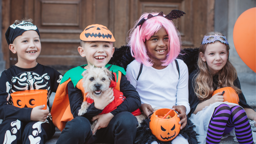Safely Getting Scary for Halloween Toronto Humane Society
