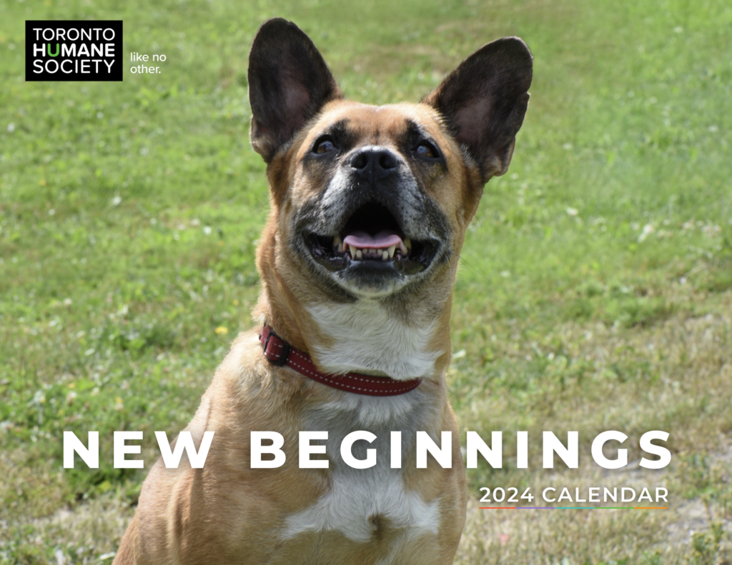 2024 New Beginnings Calendar Now Available! Toronto Humane Society