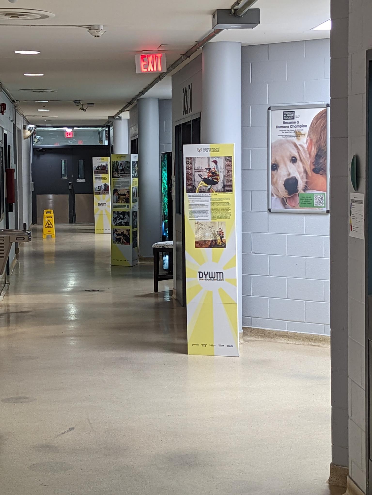 Uncover The Heartwarming Haven The Humane Society Crawfordsville Indianas Bond With Animals - lv618f4