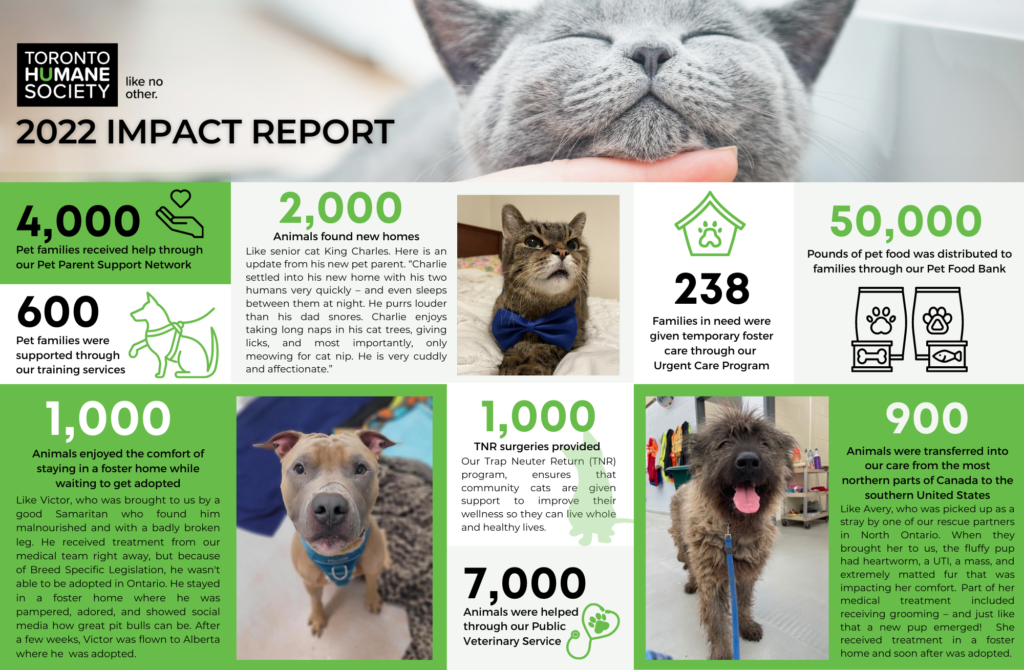2022 Impact Report - Toronto Humane Society
