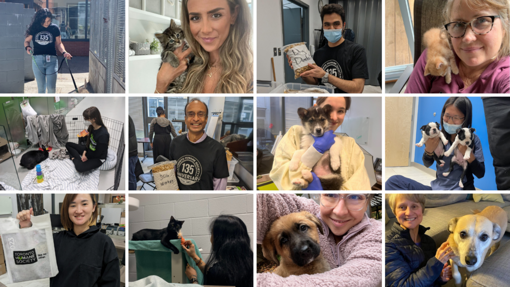 Weaving a Strong Bond Celebrating the Unwavering Commitment of Our Volunteers Toronto Humane