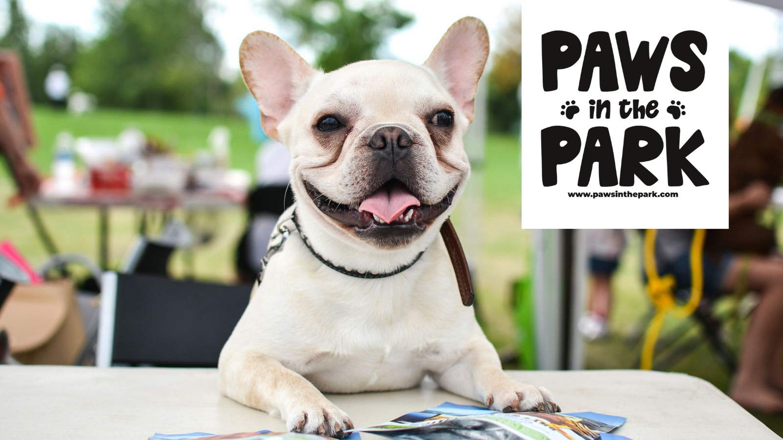 Paws in the Park Banner