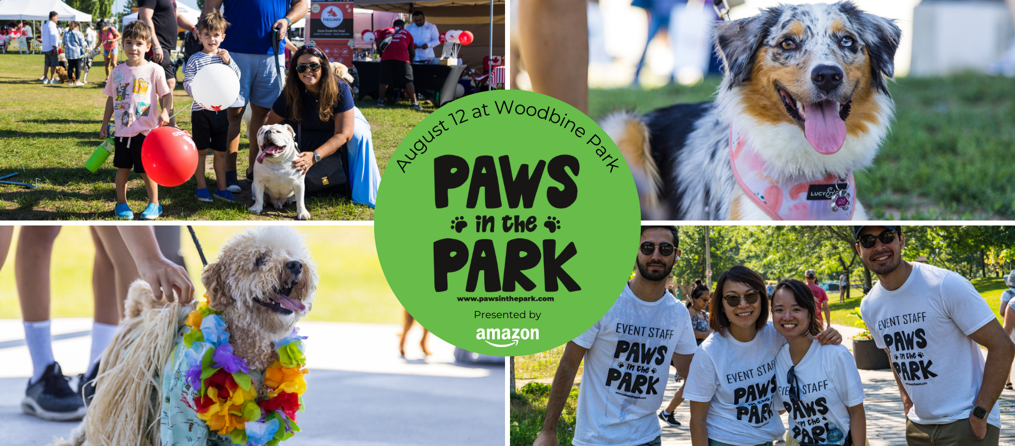 Paws In the Park - website banner image - amazon (2)