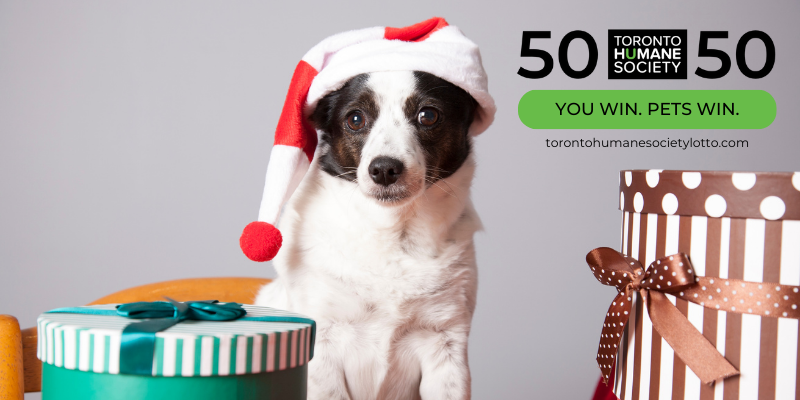 Holiday 5050 Banner