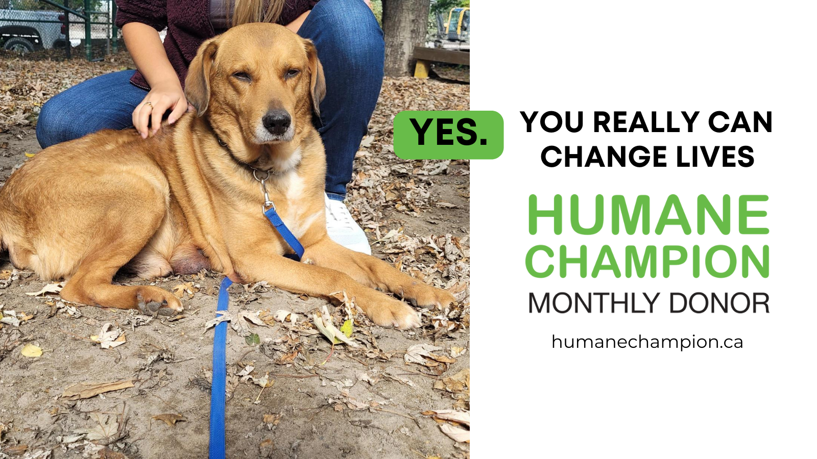 A successful story from our Humane Champion program