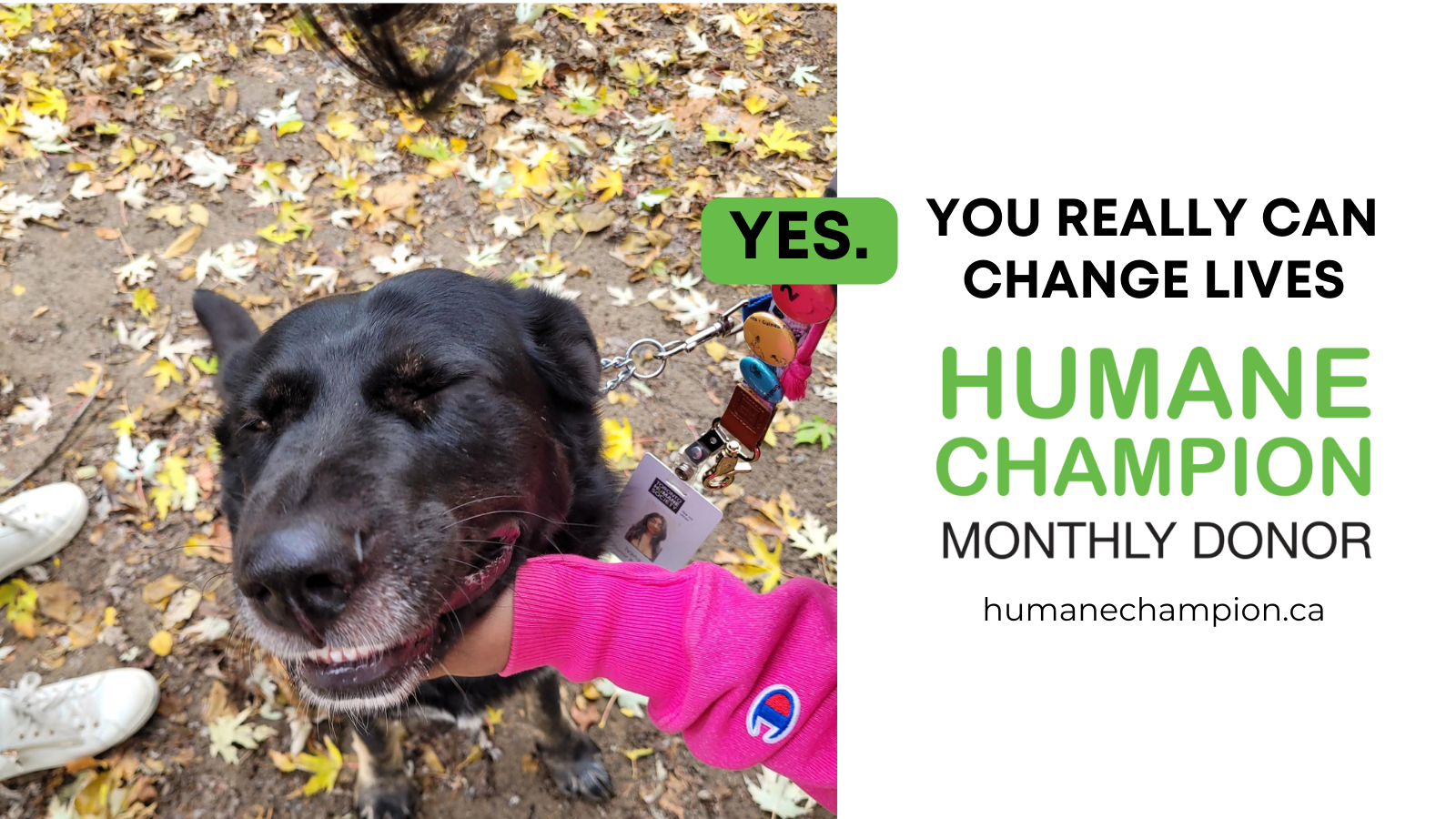 A successful story from our Humane Champion program