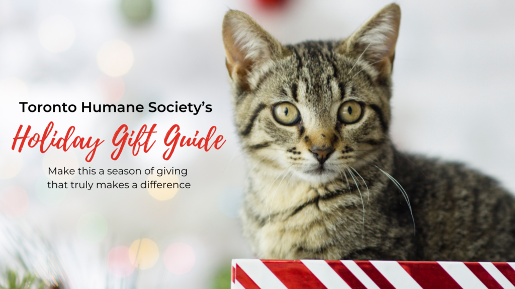Toronto Humane Society's 2023 Holiday Gift Guide Toronto Humane Society