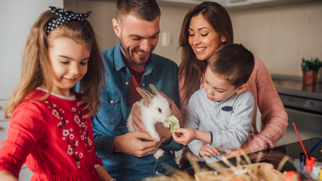 Beautiful view of Introducing A New Rabbit To A Home With A Cat