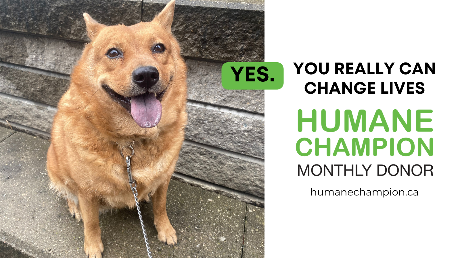 A successful story from our Humane Champion program