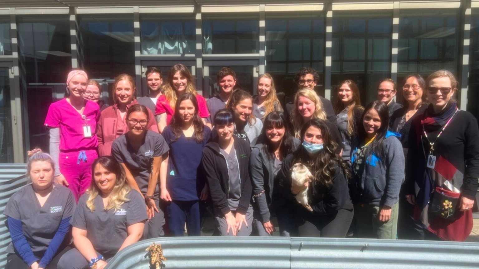 Celebrating World Veterinary Day 2024 Recognizing Veterinarians as