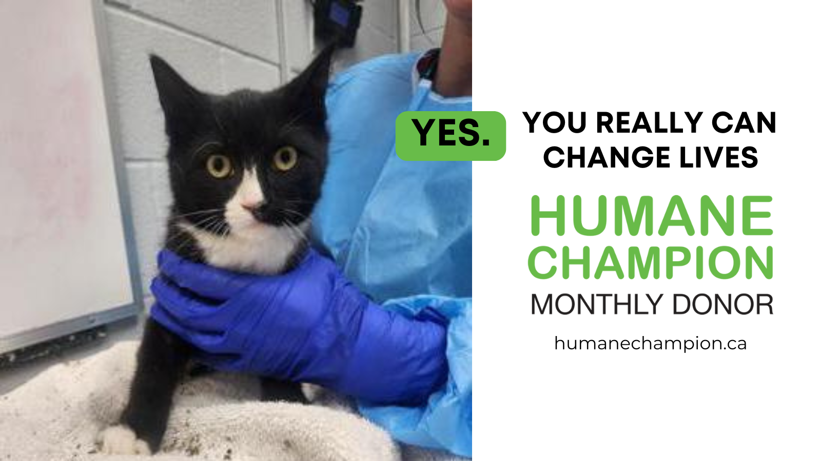 A successful story from our Humane Champion program