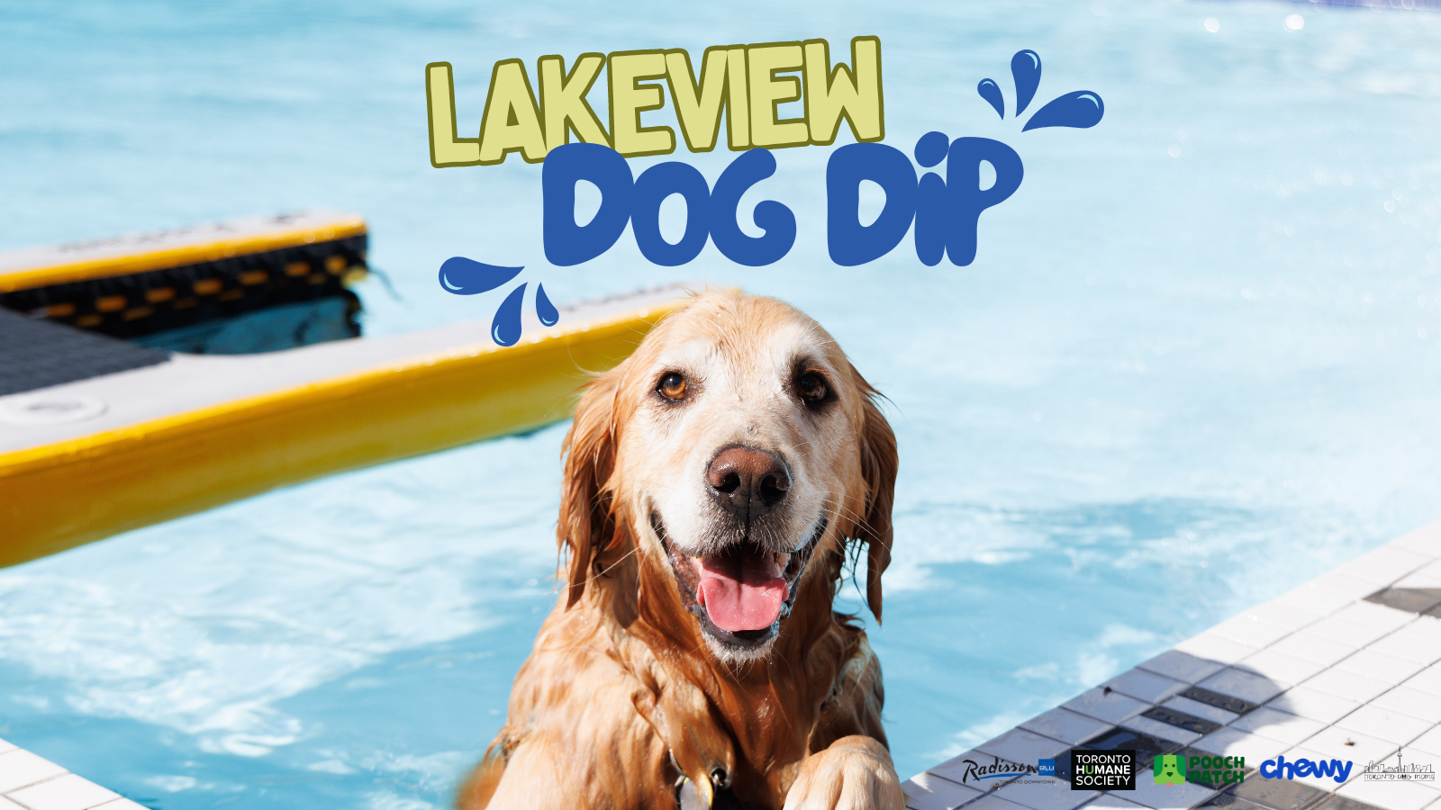 Dog dip 2025