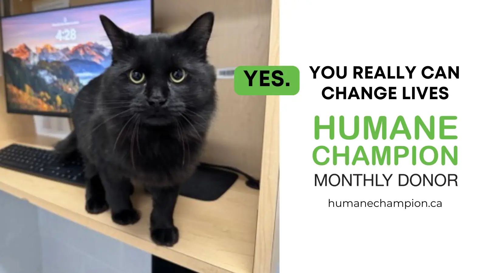 A successful story from our Humane Champion program