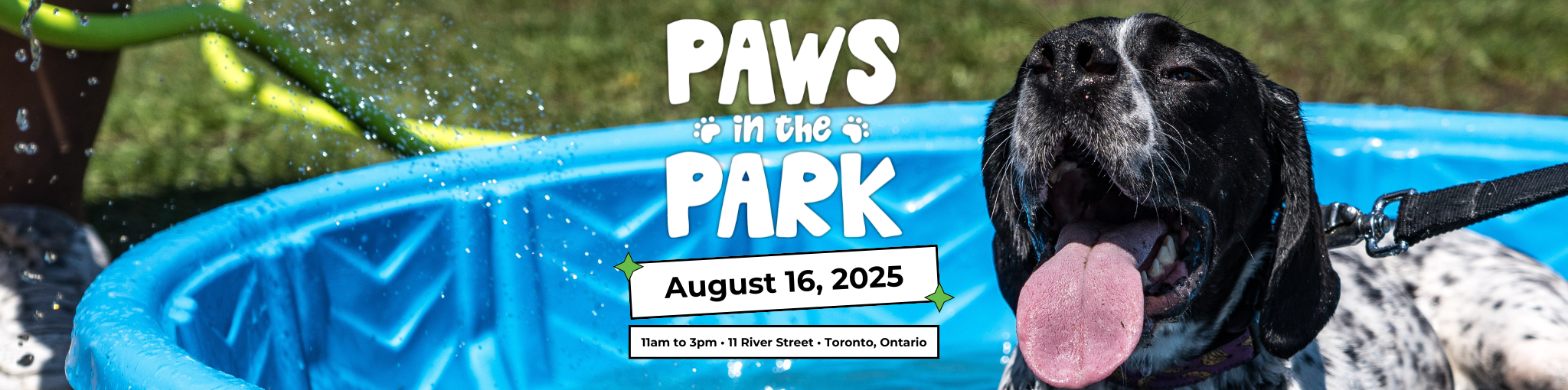 Paws in the Park Webpage Banner (2)