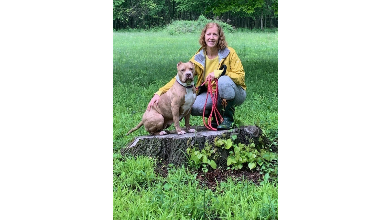Dog adopted from Toronto Humane Society