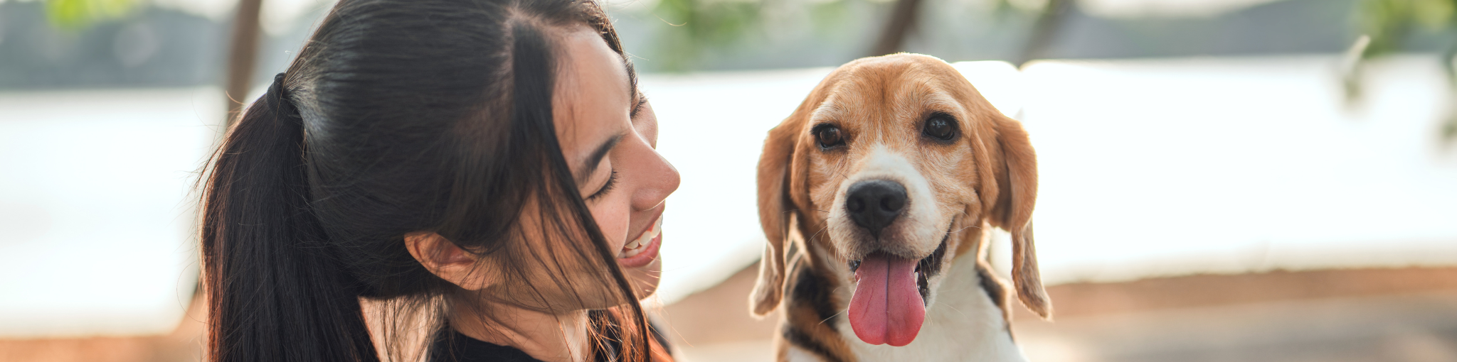 Adoption and Rehoming