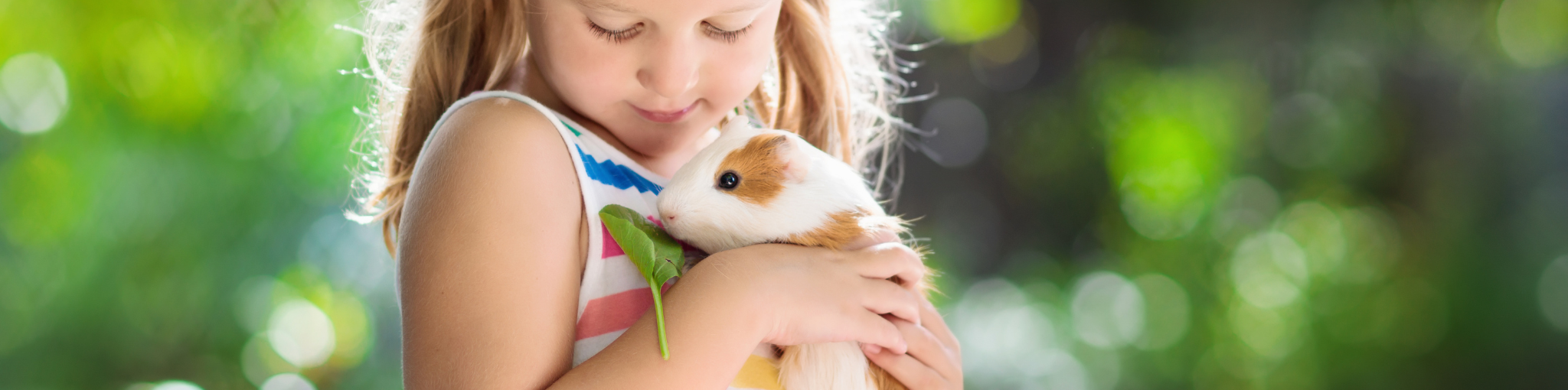 Adoption and Rehoming