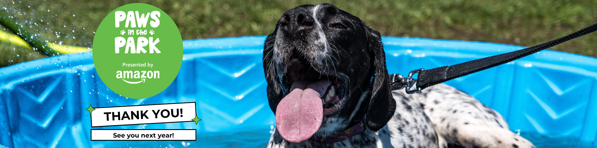Paws in the Park Webpage Banner